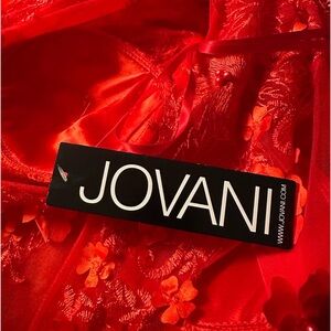 Prom, pageant, military ball etc dress